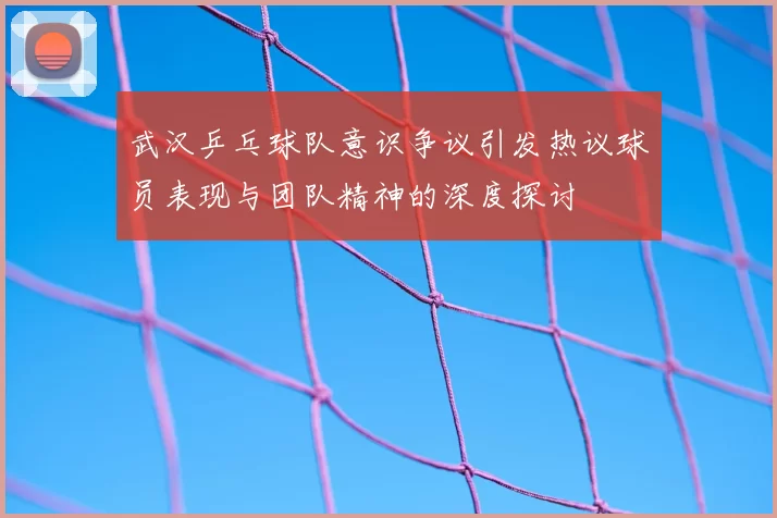 武汉乒乓球队意识争议引发热议球员表现与团队精神的深度探讨