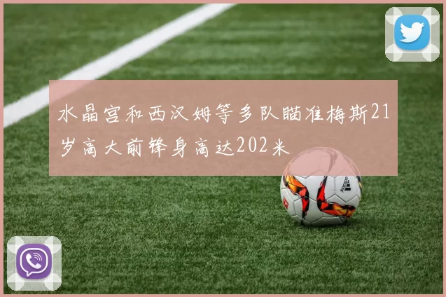 水晶宫和西汉姆等多队瞄准梅斯21岁高大前锋身高达202米