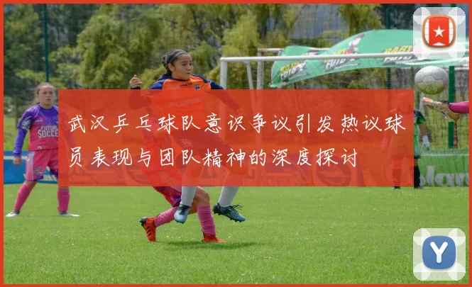 武汉乒乓球队意识争议引发热议球员表现与团队精神的深度探讨