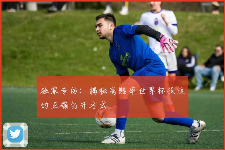 独家专访:揭秘高赔率世界杯投注的正确打开方式