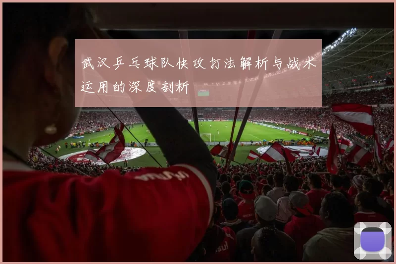 武汉乒乓球队快攻打法解析与战术运用的深度剖析