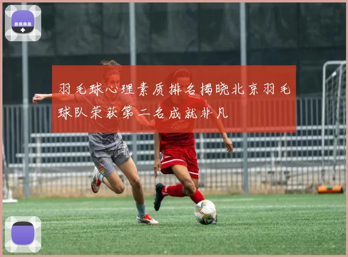 羽毛球心理素质排名揭晓北京羽毛球队荣获第二名成就非凡