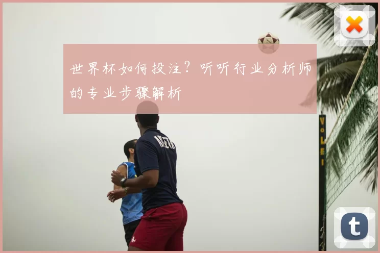 世界杯如何投注?听听行业分析师的专业步骤解析
