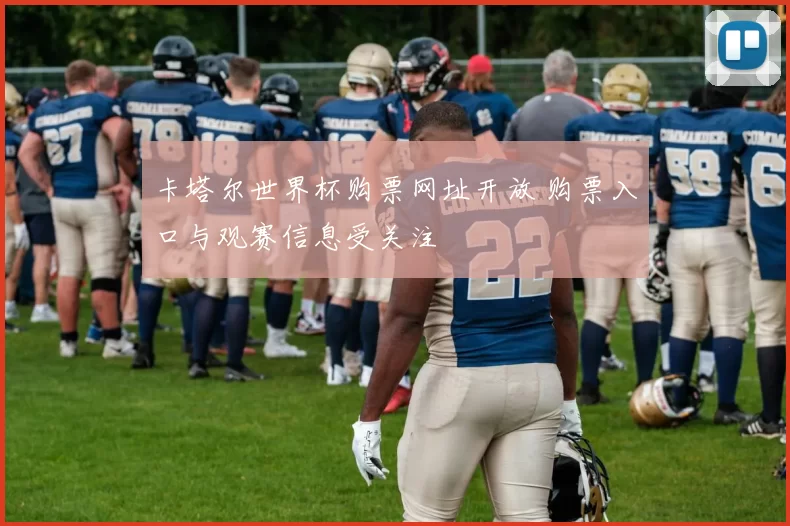 卡塔尔世界杯购票网址开放 购票入口与观赛信息受关注