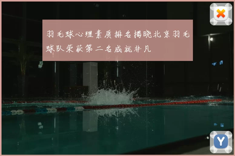 羽毛球心理素质排名揭晓北京羽毛球队荣获第二名成就非凡