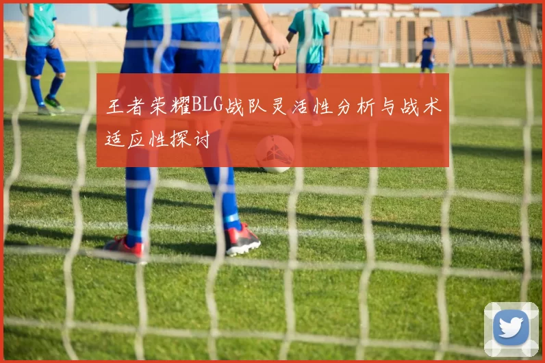 王者荣耀BLG战队灵活性分析与战术适应性探讨