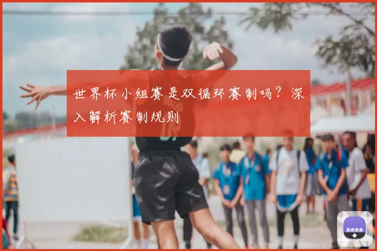世界杯小组赛是双循环赛制吗？深入解析赛制规则