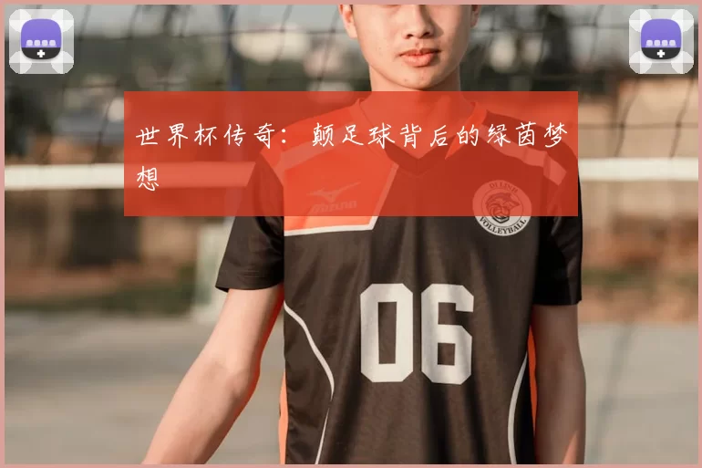 世界杯传奇:颠足球背后的绿茵梦想