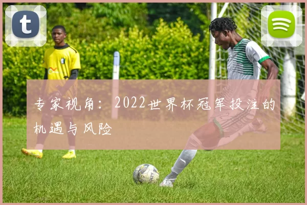 专家视角:2022世界杯冠军投注的机遇与风险