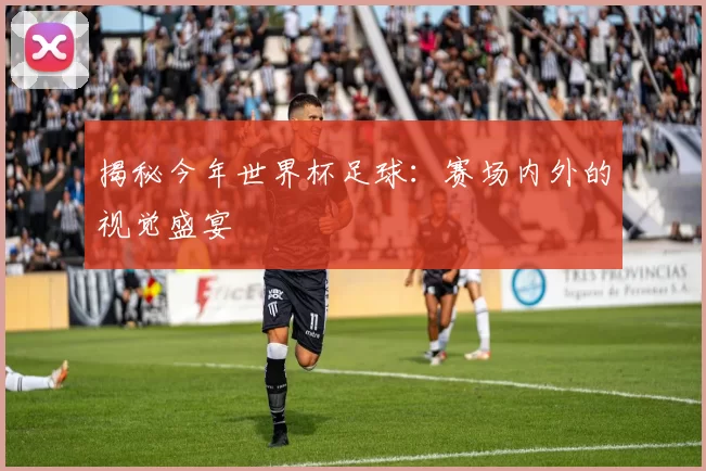 揭秘今年世界杯足球:赛场内外的视觉盛宴
